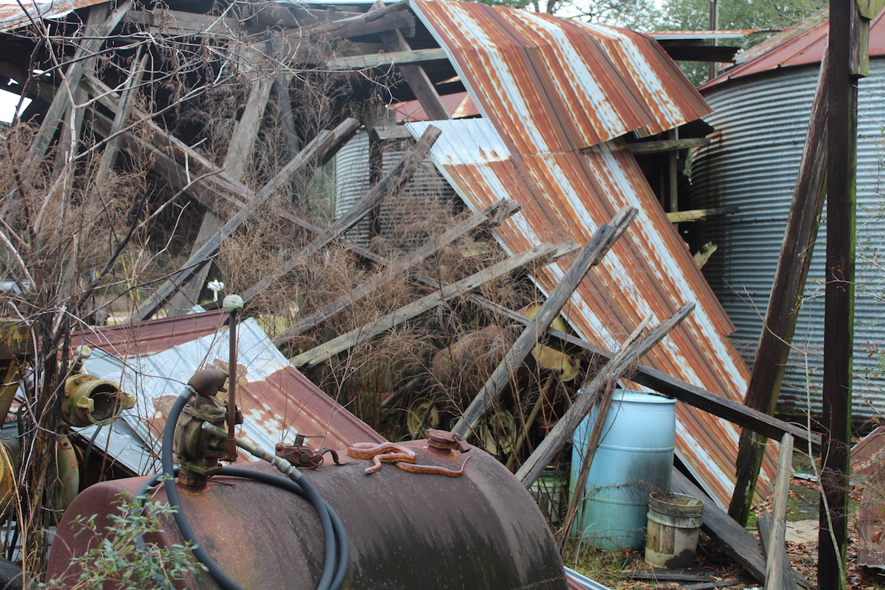 Corn Snake Tin Site