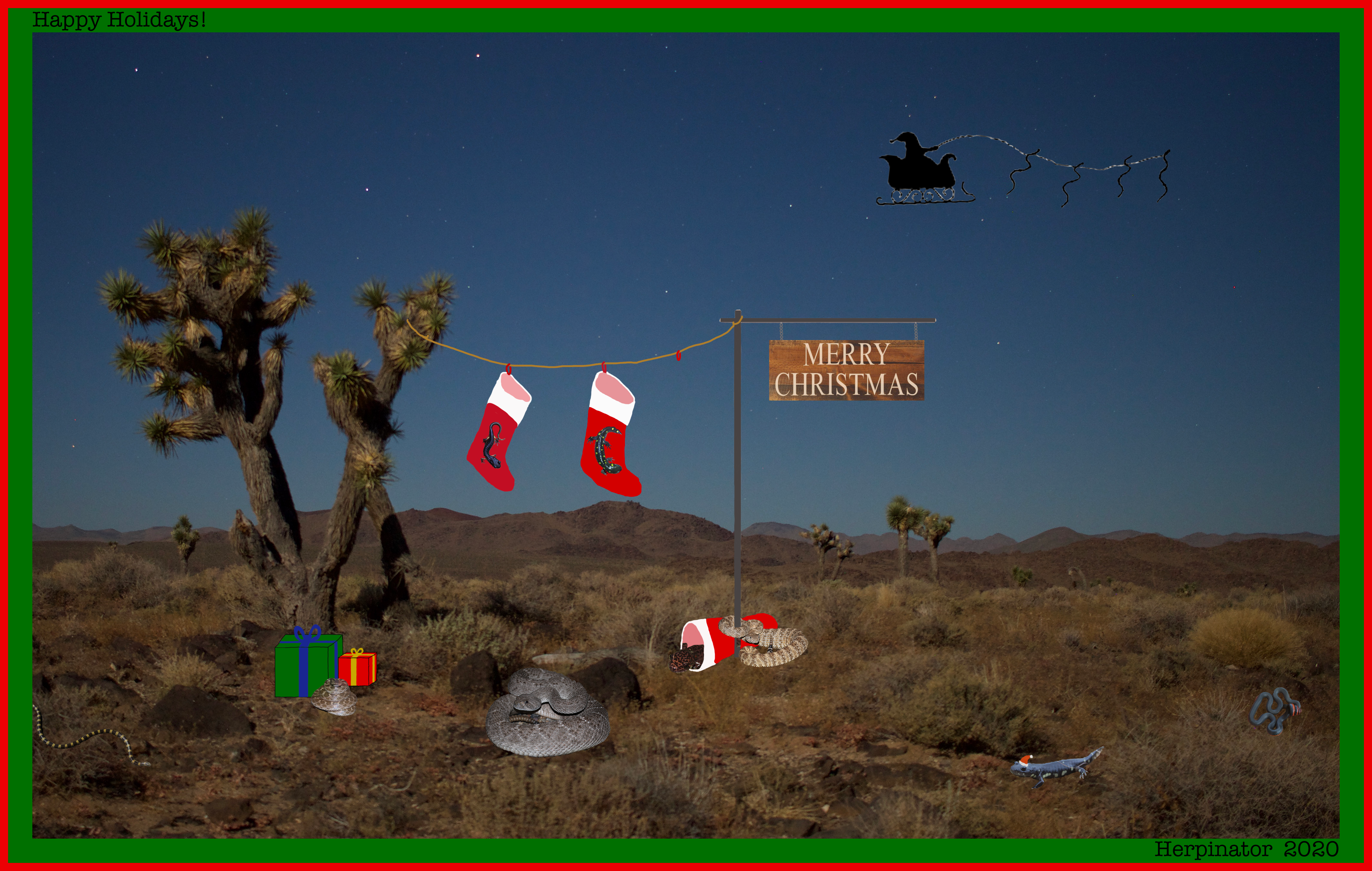 Holiday Photoshop