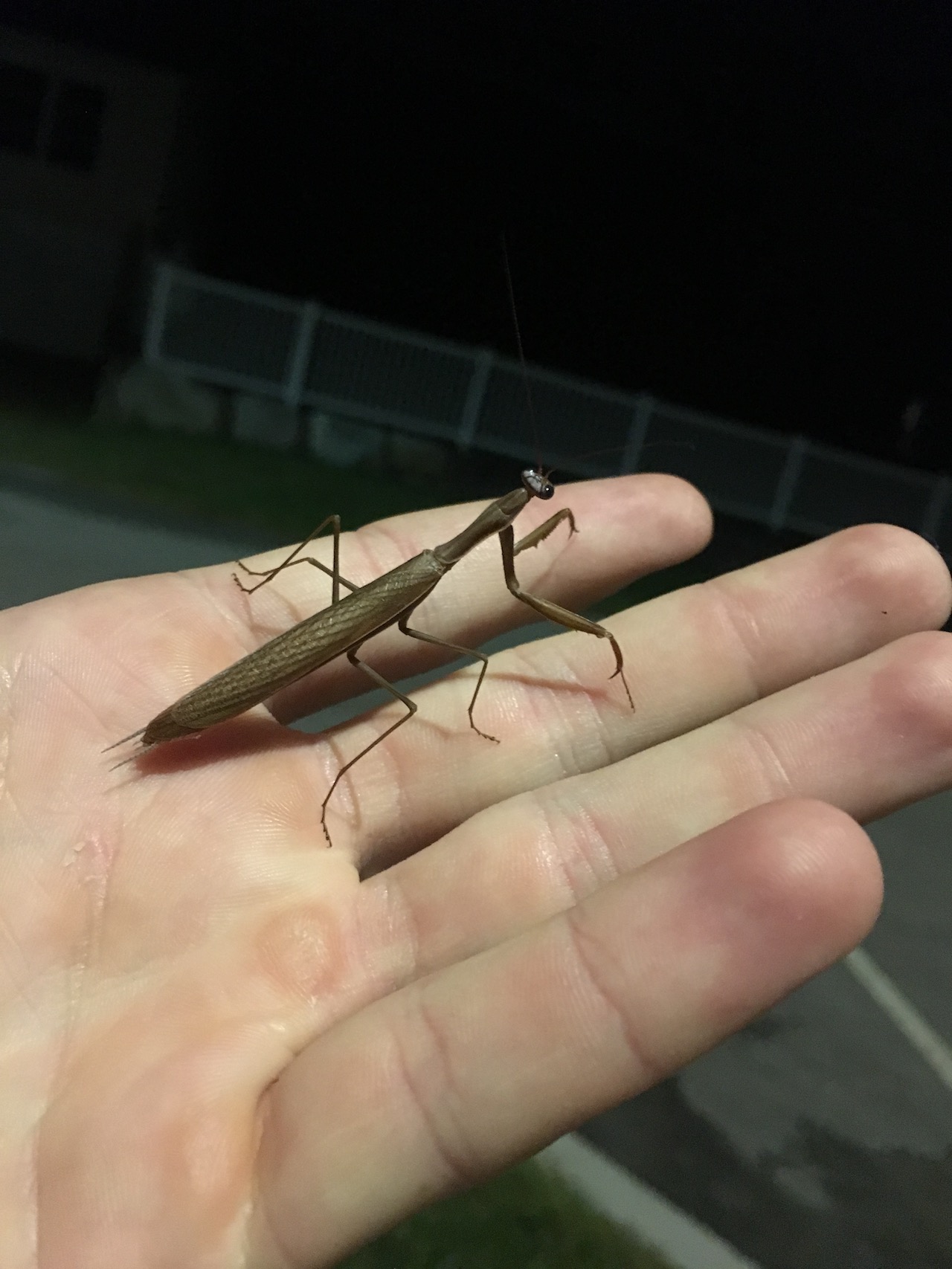 Bug10