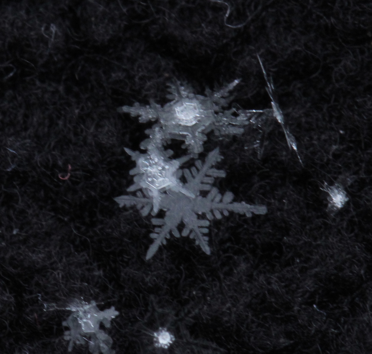 Snowflakes