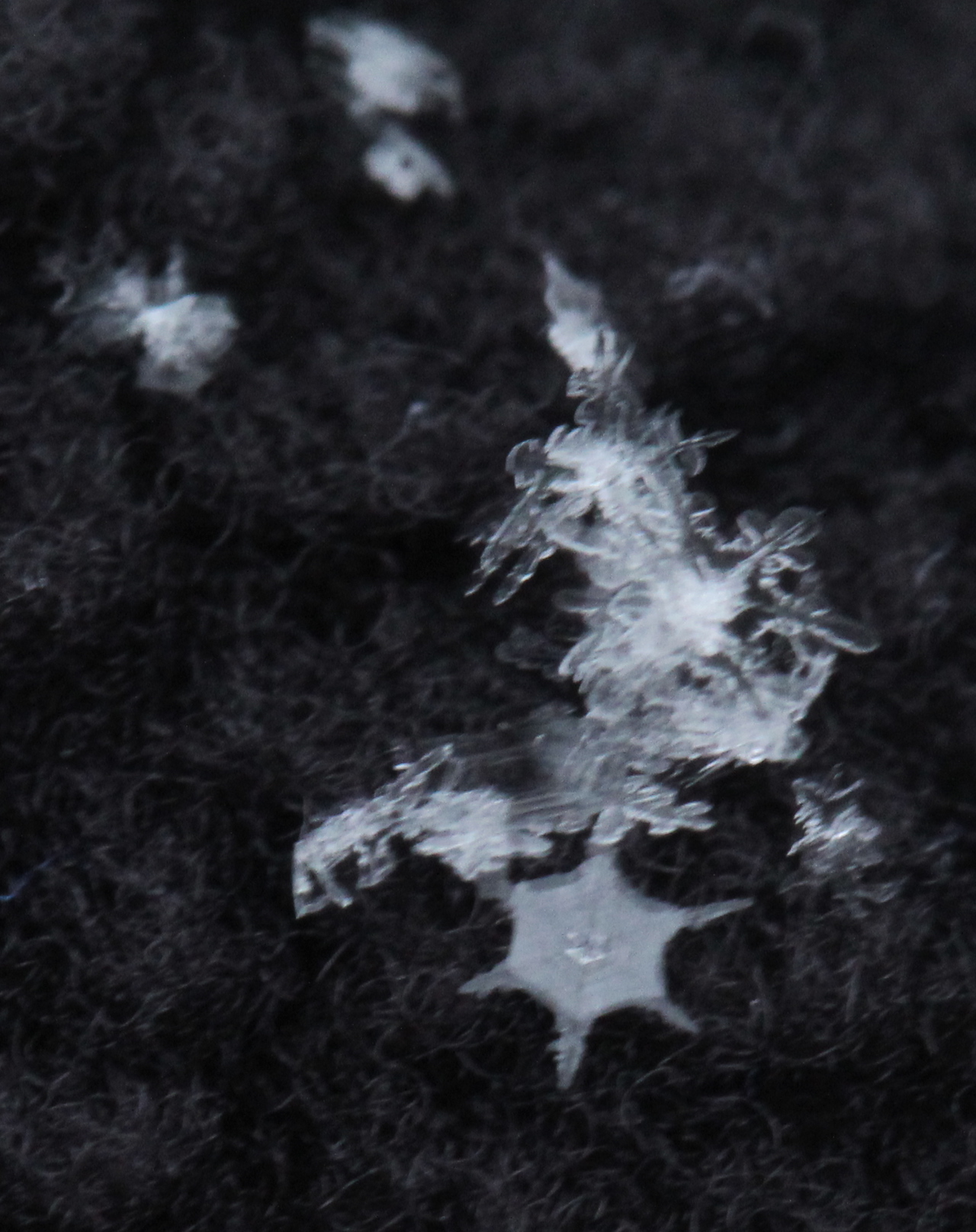 Snowflakes