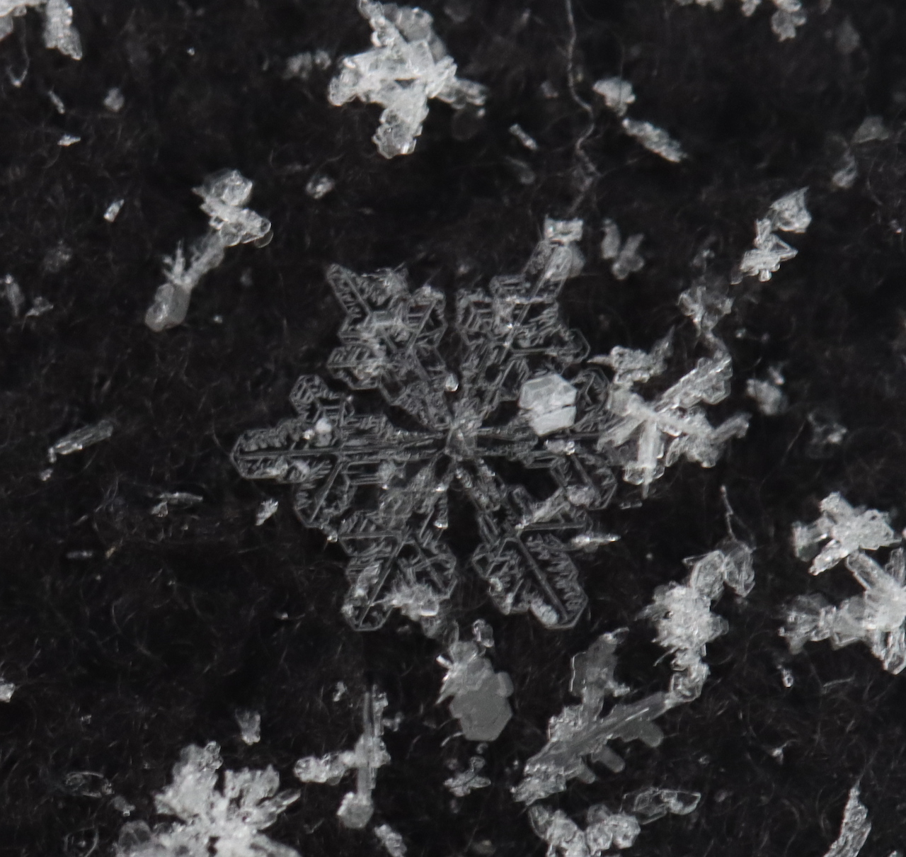 Snowflakes