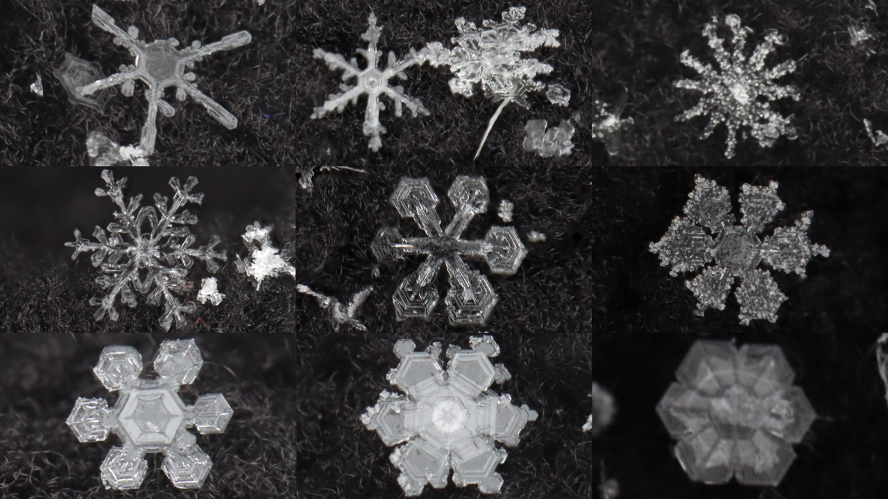 Snowflakes